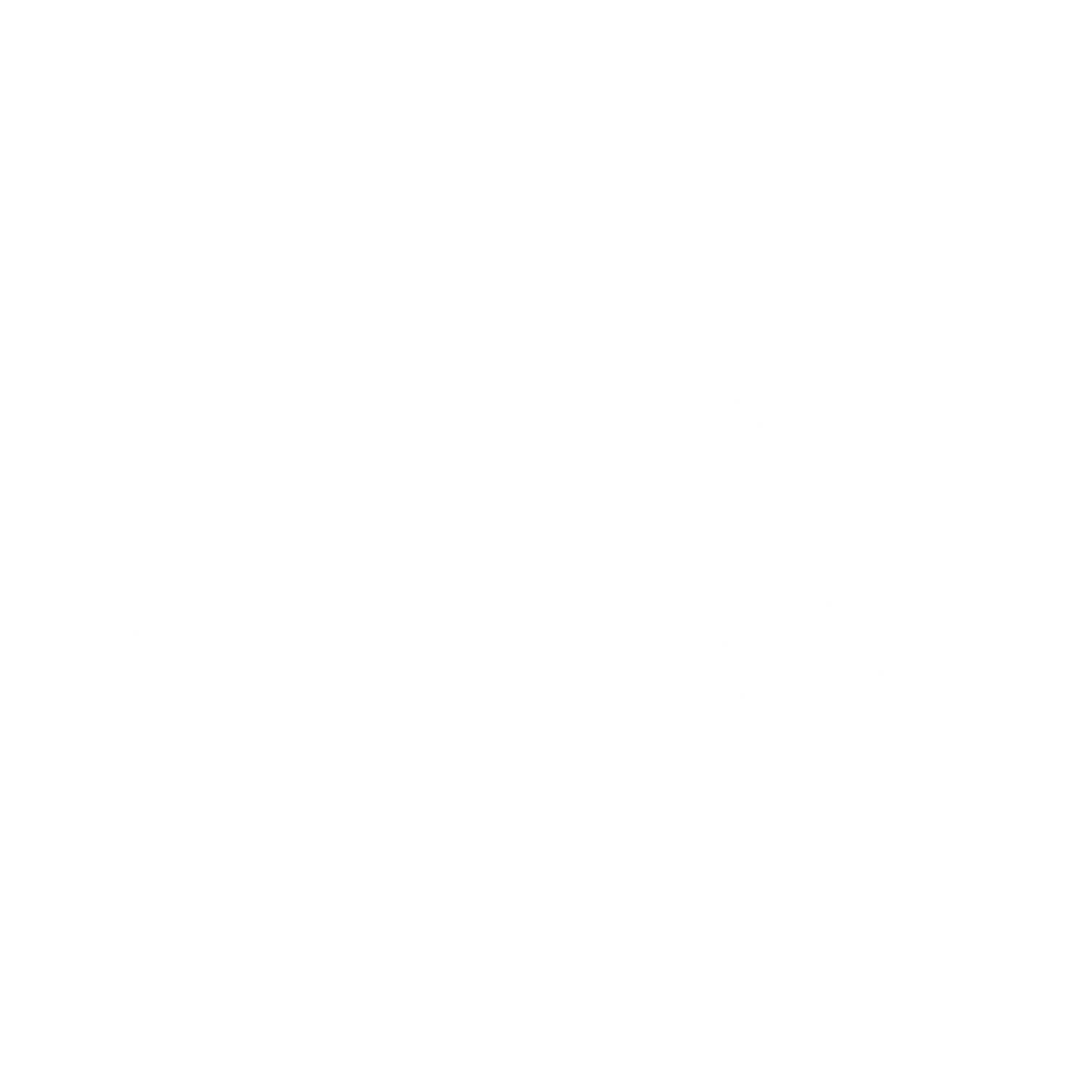 EIKON LLC